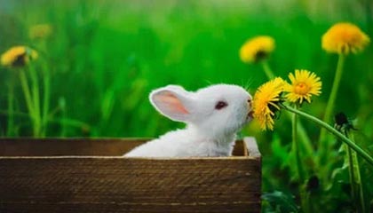 爱游戏 电竞-“足球智者”：某某教练解读战术变革心得，足球技战术训练全书