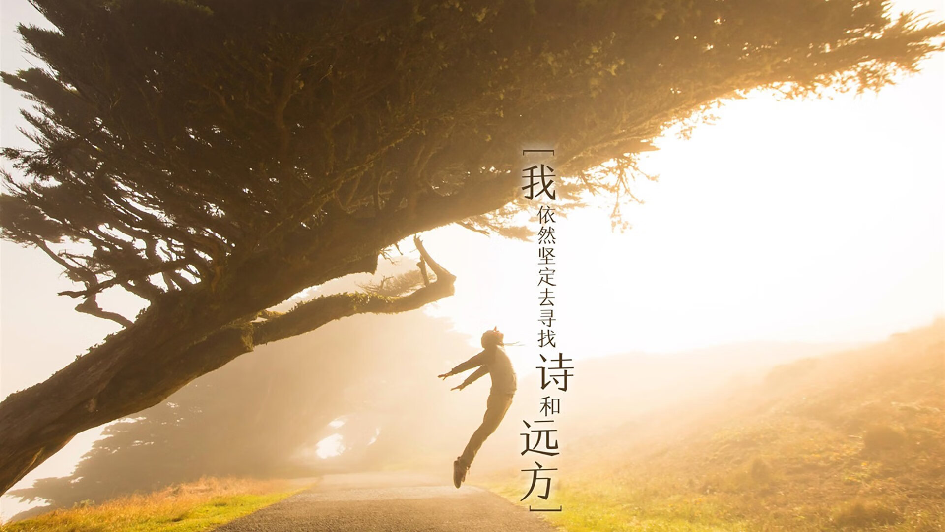 球场英雄！阿根廷前锋戴帽，球场英雄!阿根廷前锋戴帽是谁