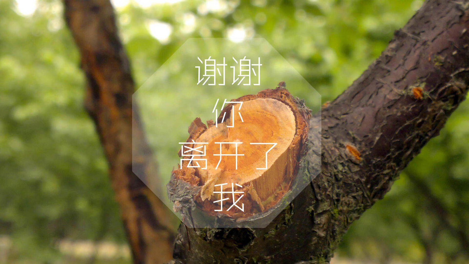 美国队中场卡瓦尼在巴黎奥运会上展现出强大的进攻组织能力，卡瓦尼总进球