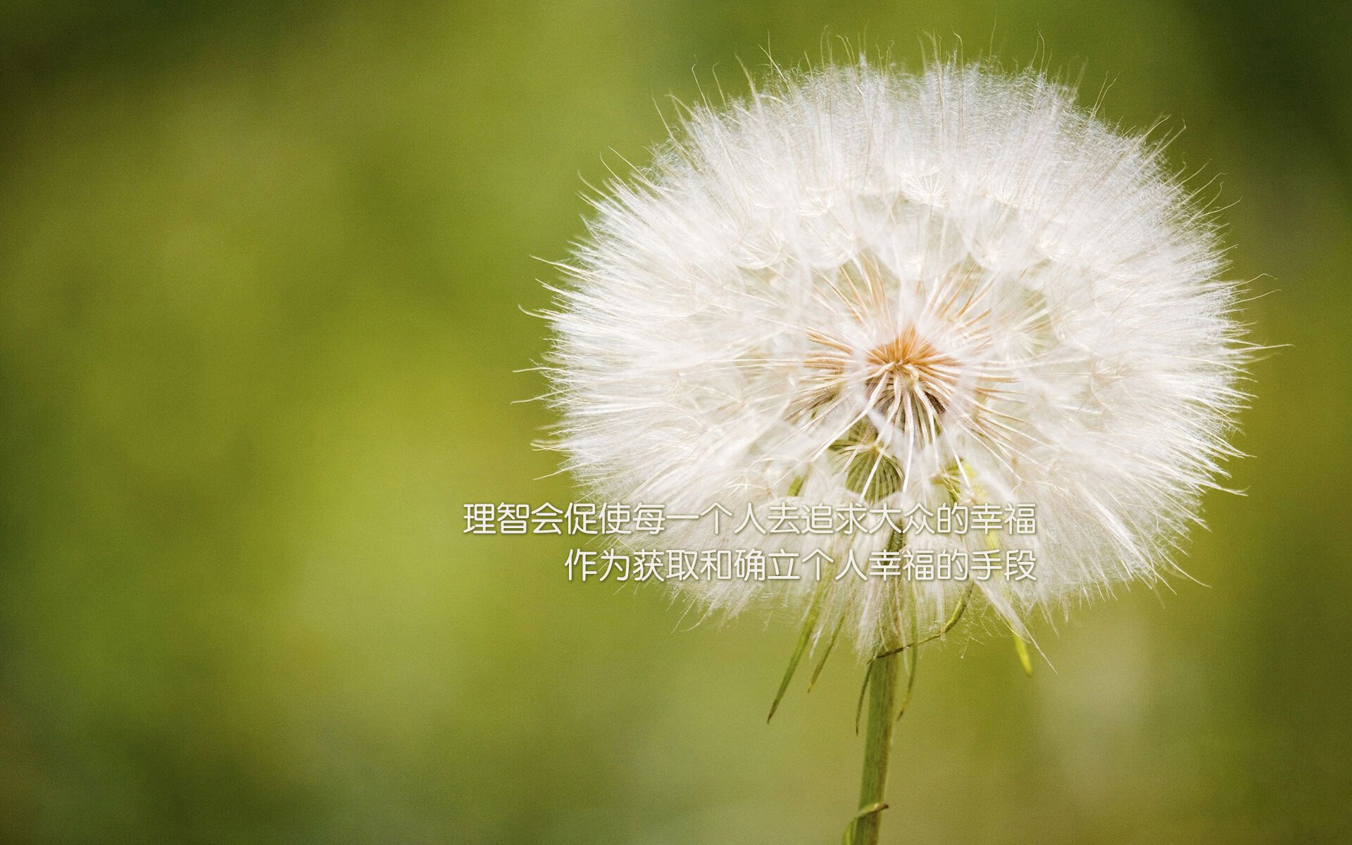 某队遭遇惨败，球员面临巨大压力，某队员全场各种犯规累计达五次以后