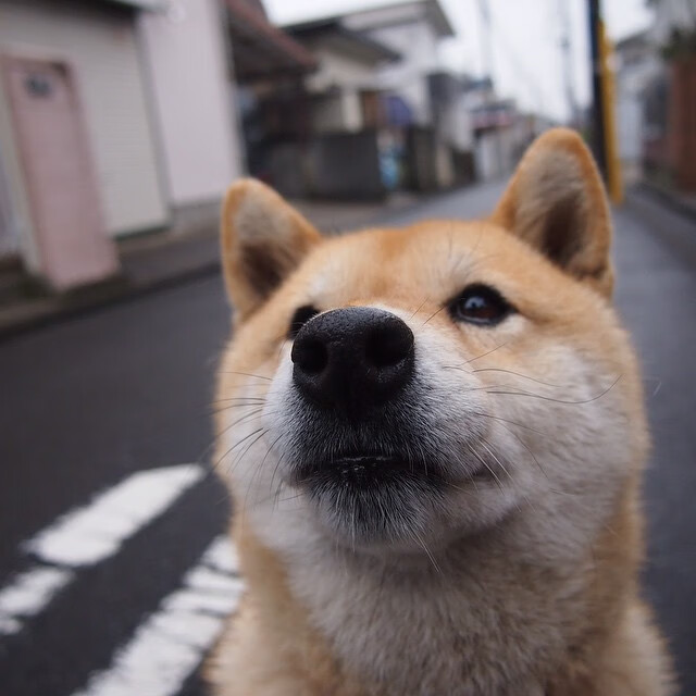 运动训练心理辅导模式与教学实践研究，运动心理训练方案设计与效果评价实验报告