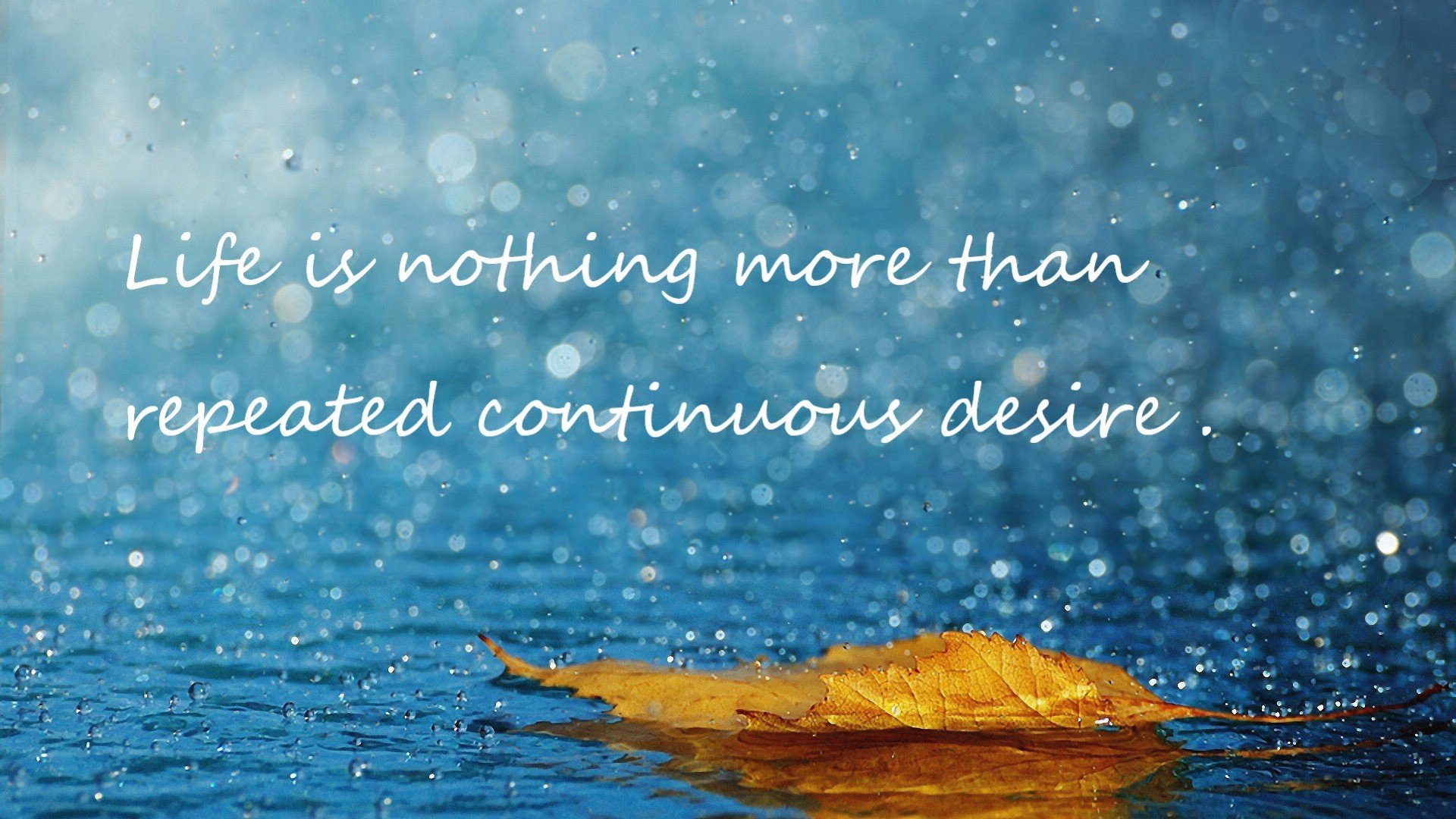 杨瀚森代表中国队参加国际篮球邀请赛,杨瀚儒简介