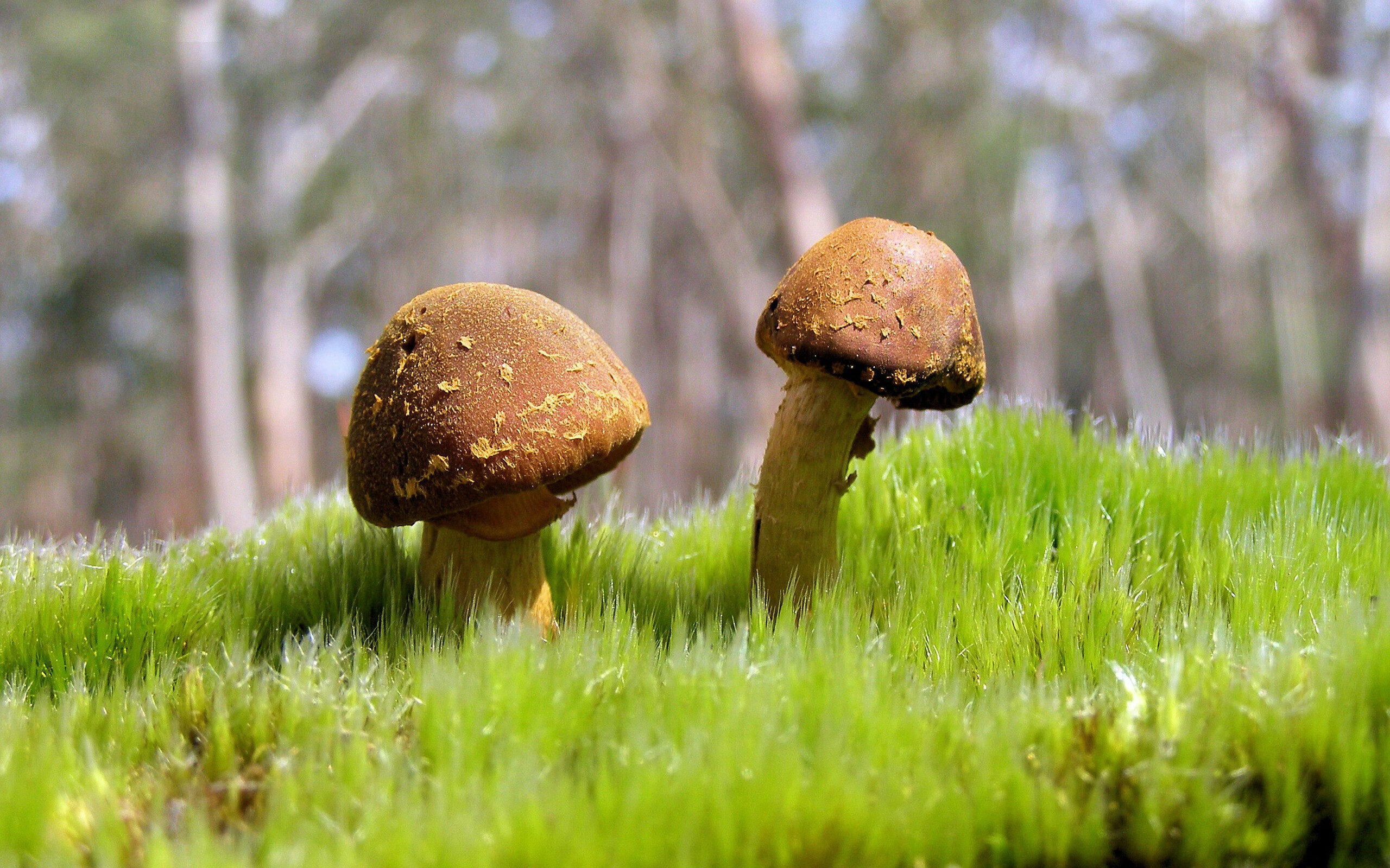 国家体育总局通报智能裁判系统阶段测试结果,智能车裁判系统