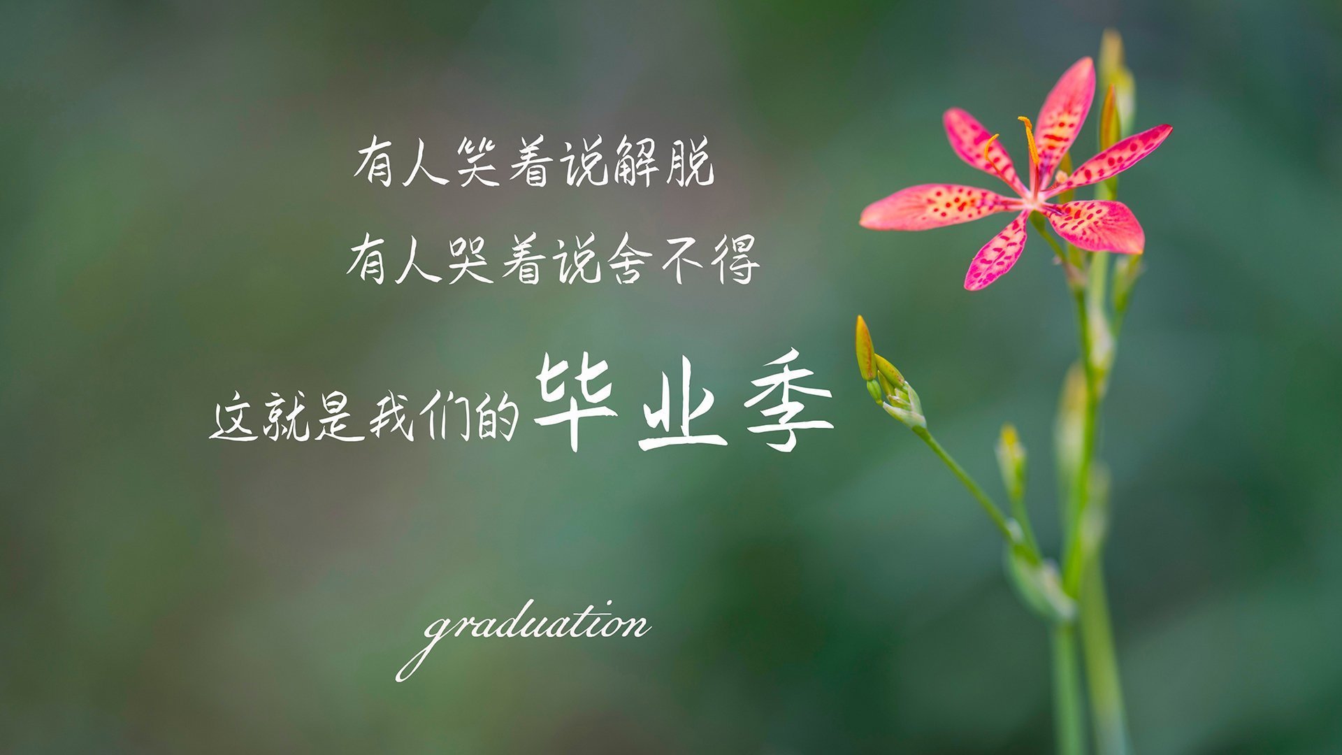 库里赛后亲吻地板告别主场，库里亲穿球鞋